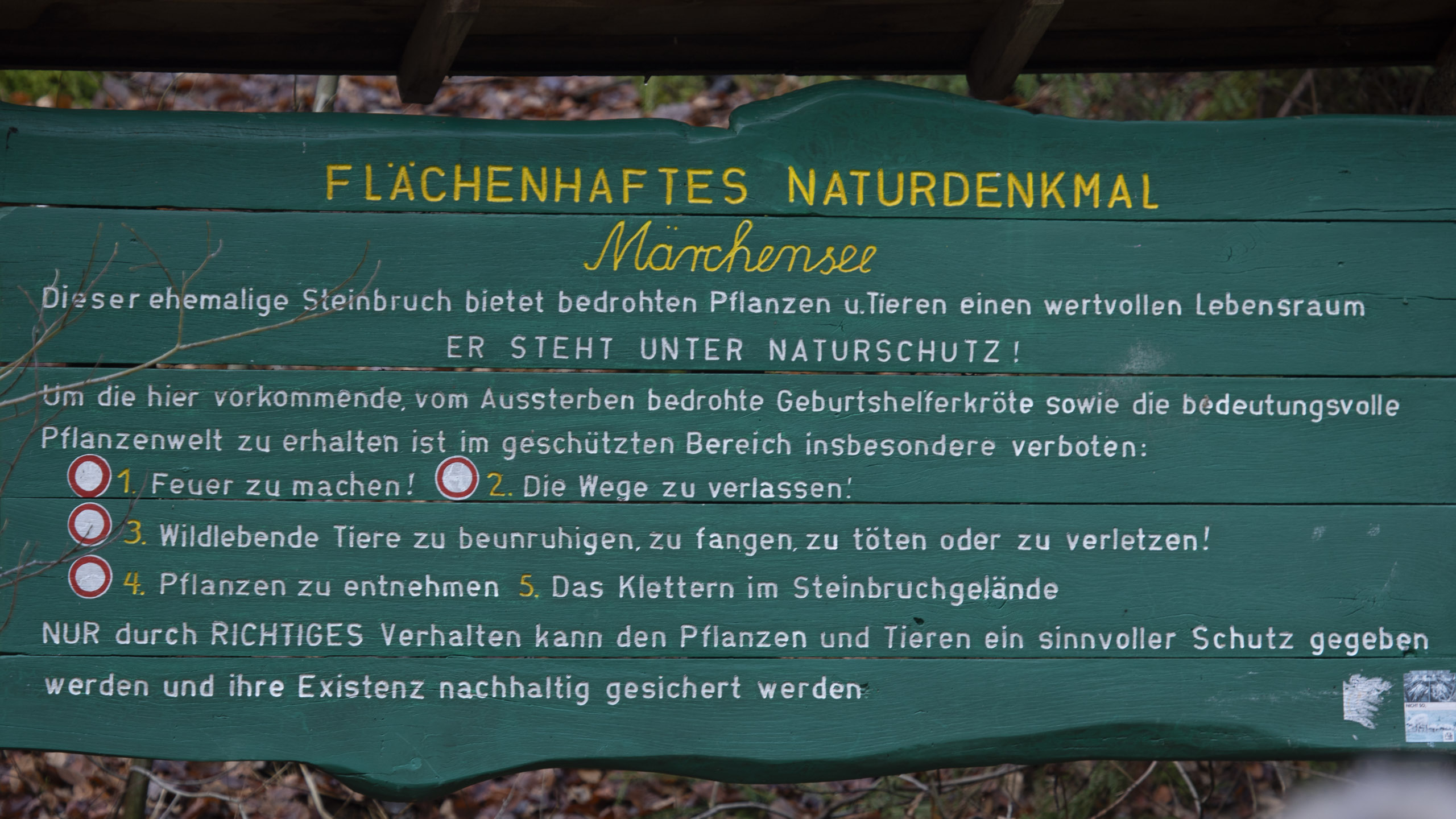 20251129123616 RD4 0881